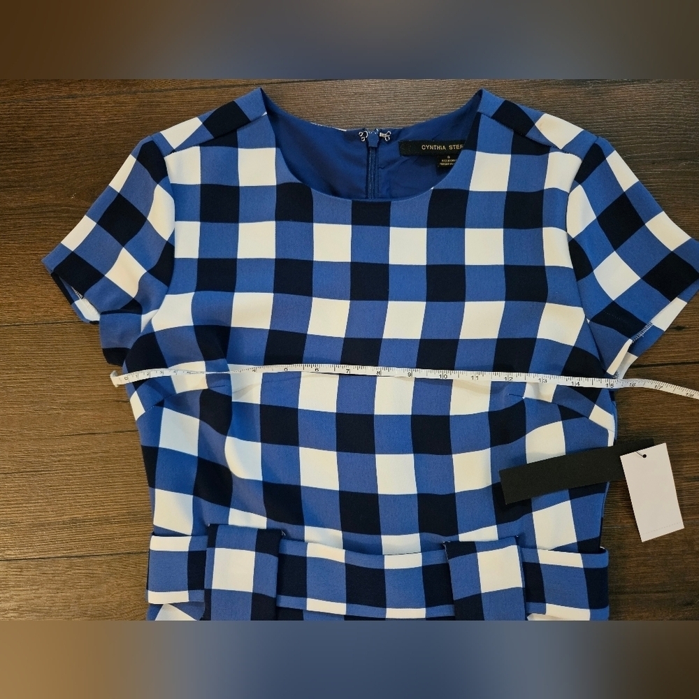 NWT Cynthia Steffe Blue and White Checkered Dress - Size 0 - Picture 13 of 16